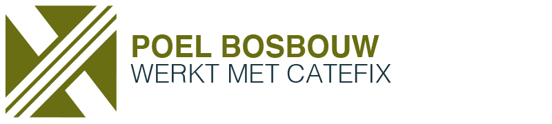 Bosbouw